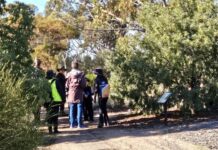 Special times for arid garden