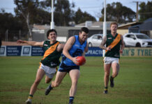 Bays, Souths with big wins