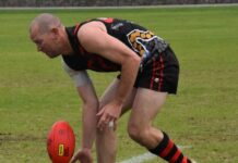 Lions continue to build