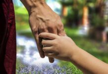 Call out for foster carers