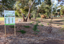 New gardens set to inspire