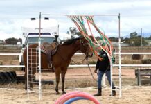 Discover what’s on around the Spencer Gulf