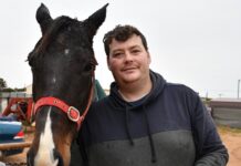 Winter trots racing is a go