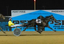 Coco Mia in a comeback