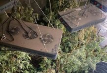 Police deal with drug bust