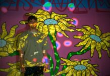 Interactive art to feature at Winter Fest