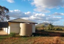 Grant has a big impact