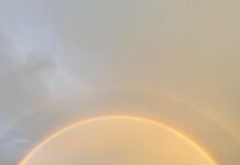 What’s on around the Upper Spencer Gulf