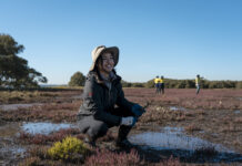 Landcare grants now open