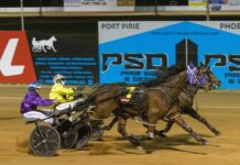 Not all Torque at Phoenix