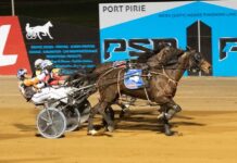 Hoare boys bag a double