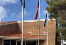 Bid to better council access