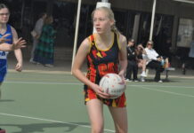 Port Pirie netball action