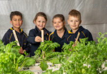 Students show green thumbs