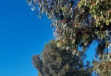 Get along, enjoy fireworks and Wharfest fun for everyone