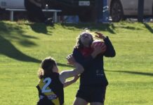 Souths solidify finals hopes