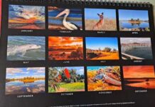 Photos wanted for calendar