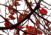 What’s on around the Spencer Gulf