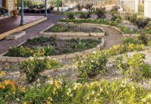 Quorn family open garden to public