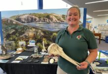 Sea interaction at the pub