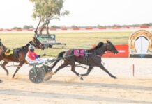 Four winners for Pascoe