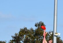 Sollies take down Lions