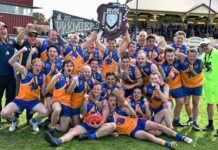 Ports reserves triumphant