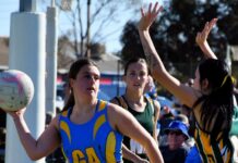 Perfect day for netball