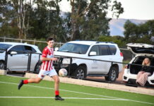 Cove finish on top in final