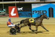 Hill drives double in Pirie