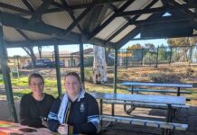 Partnership delivers art