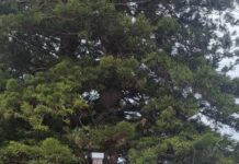 Embracing reconcillation