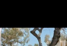 Council urge community to ‘Dob in a Dumper’