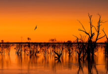 Photography now in focus