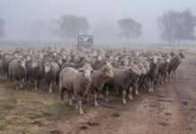 New biosecurity bill in SA