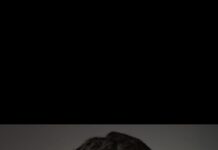 Graduates begin correctional officer roles