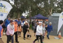 Lions walk to fight diabetes