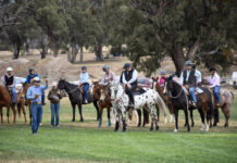 Melrose Show celebrate its 100th year