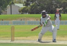 Cricket season set to begin