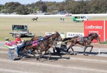 Ideal return to form