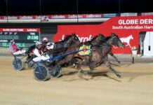 Quick Dip makes a splash