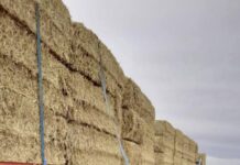 Support for our farmers