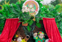 What’s on at the Picnic