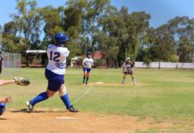 Softball season preview