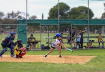 Softball back in full swing