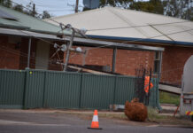Severe winds topple stobies