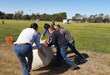 Wilmington welcomes showgoers