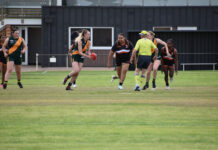 Bags of six for Reid, Butler