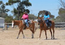 Two kinds of horsepower