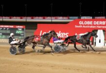 Reoffender finishes on top